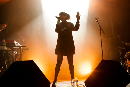 the wombats